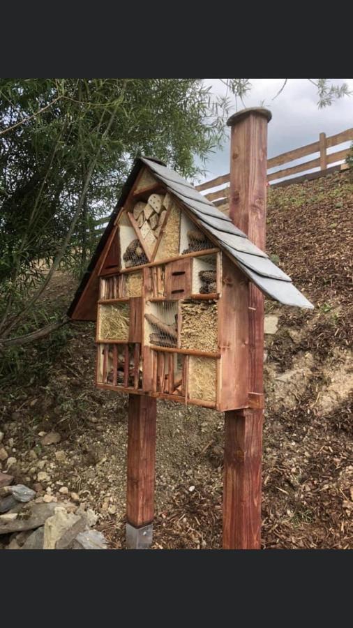 Ferienhaus Chilllout Chalets Daun-Kradenbach Exteriör bild